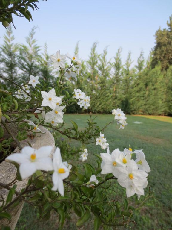 فيرّارا Ladino Room & Breakfast المظهر الخارجي الصورة