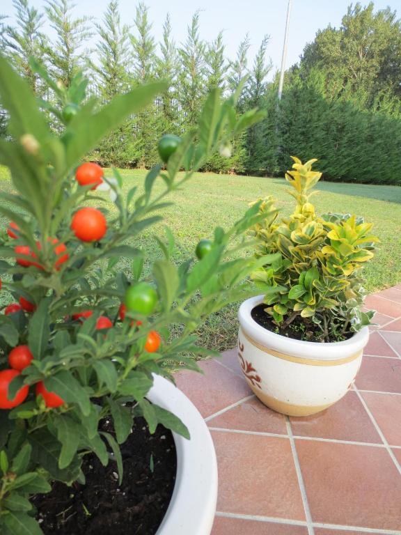 فيرّارا Ladino Room & Breakfast المظهر الخارجي الصورة